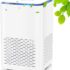 Rowenta PU4020 Intense Pure Air